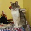 Отзыв от Инесса Котова